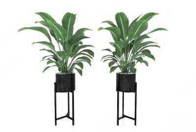 现代盆栽3D模型下载